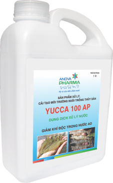 YUCCA 100 AP