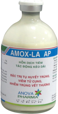 AMOX-LA AP