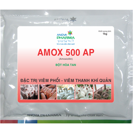 AMOX 500 AP